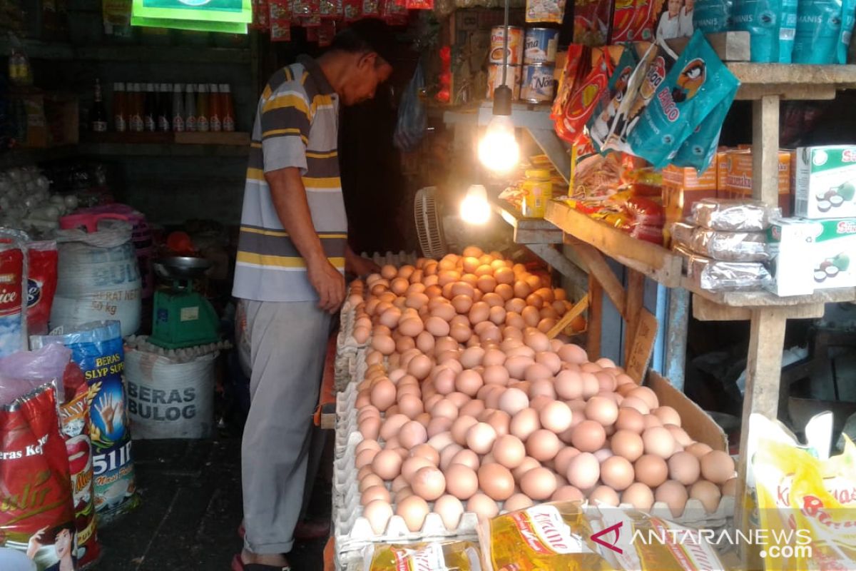 Harga telur ayam ras di Ambon mulai turun