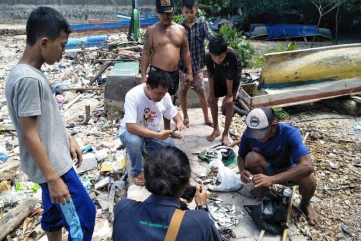 Mitra Bentala desak telusuri pihak cemari laut Panjang Bandarlampung