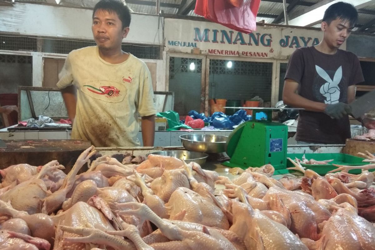 Harga daging ayam di Tanjungpinang H-1 Lebaran stabil