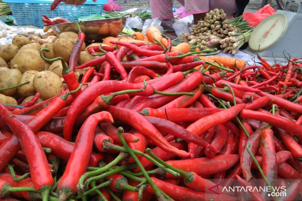 Harga cabai merah di Bandarlampung tembus Rp80.000/kg