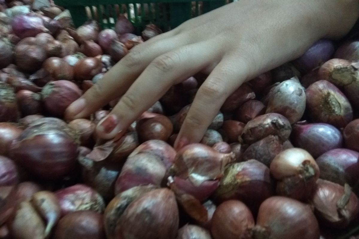 Pasar Tanjungpinang dibanjir bawang impor