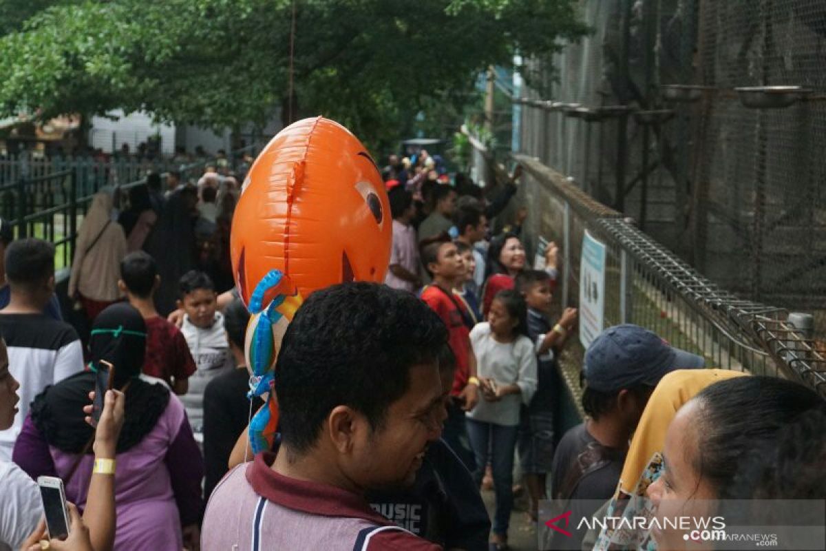 Taman Hewan Pematang Siantar dipadati ribuan pengunjung