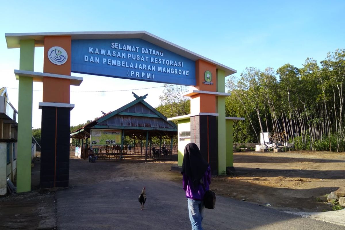 Pemkab Sinjai bertekad jadikan  mangrove Tongke-Tongke wisata unggulan