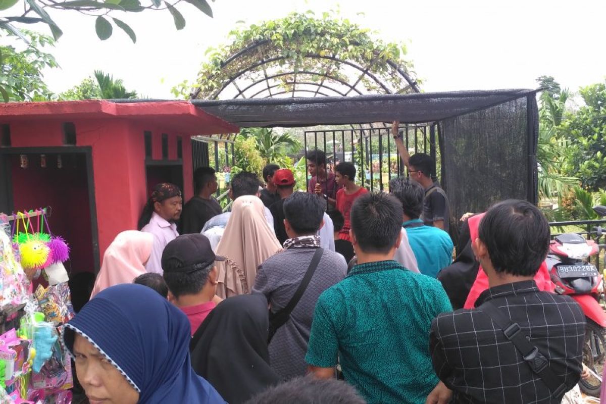 Taman agrowisata di Jambi ramai dikunjungi wisatawan lokal