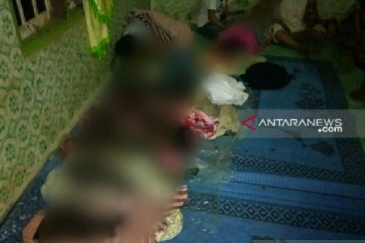 Lima bocah tewas karena kebakaran sebuah rumah di Tapanuli Selatan