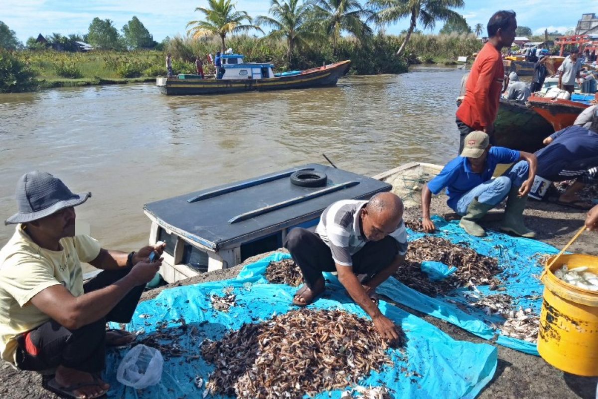 Harga ikan segar di Aceh Barat naik 50 persen
