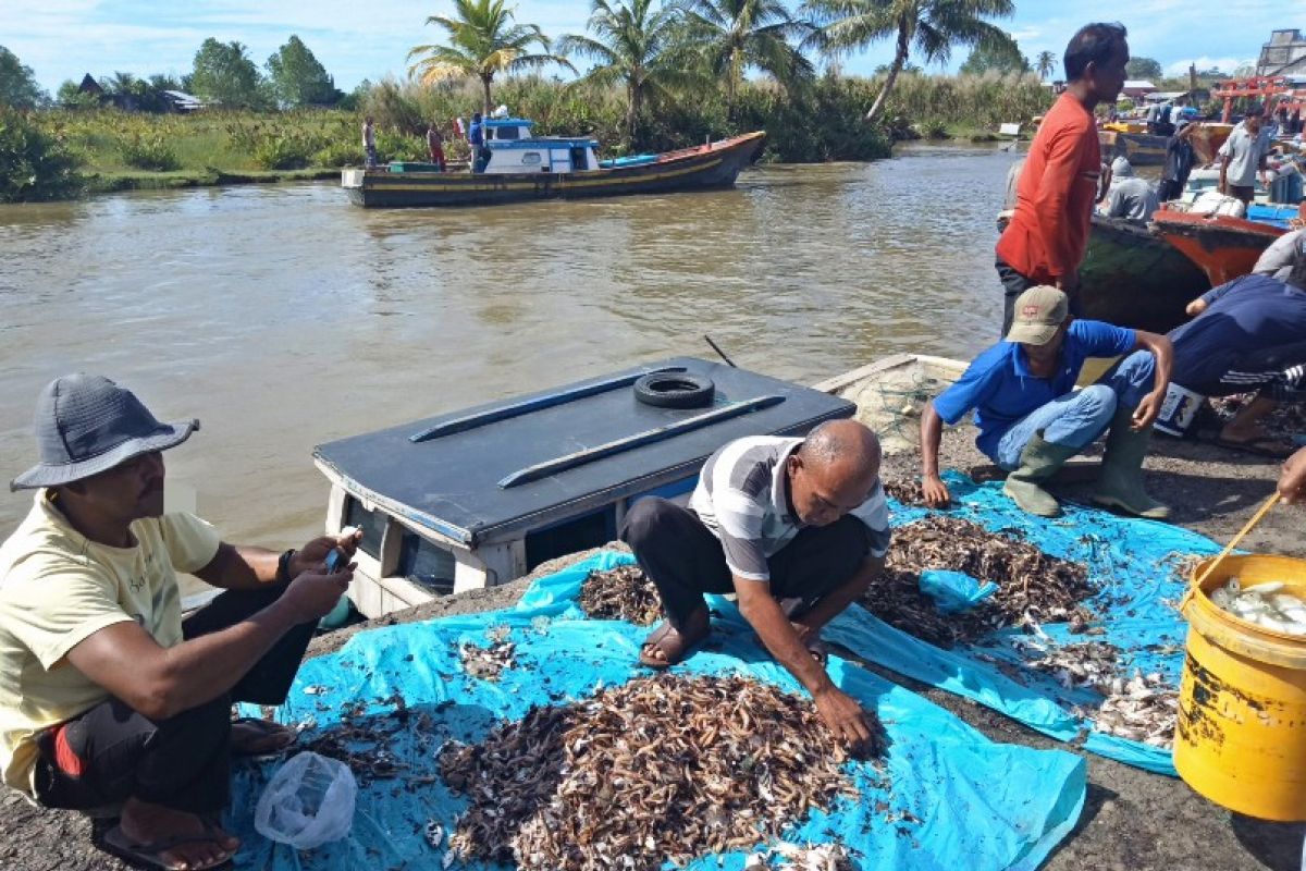 Warga keluhkan mahalnya harga ikan