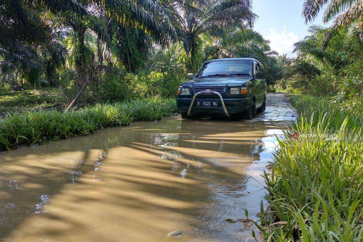 Wisatawan keluhkan jalan rusak menuju TWA Seblat Bengkulu