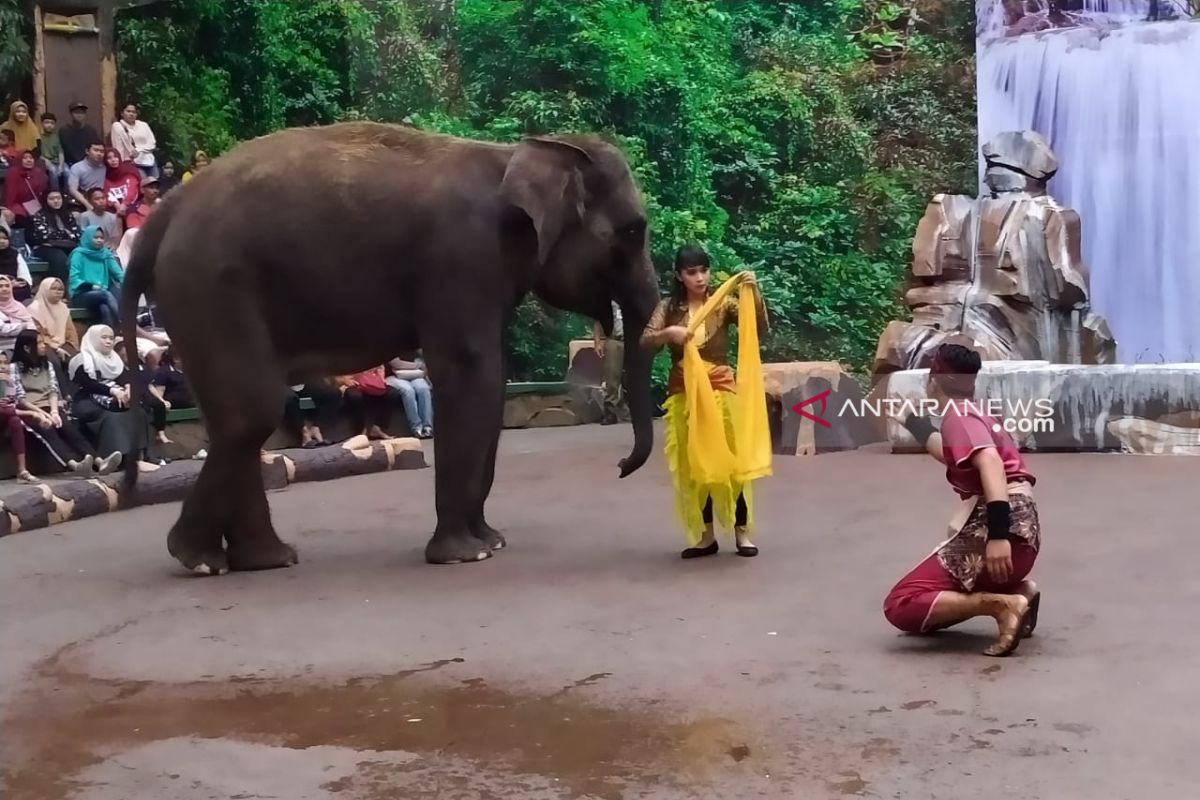 Libur Lebaran, Taman Safari Prigen tampilkan cerita legenda Jaka Tarub