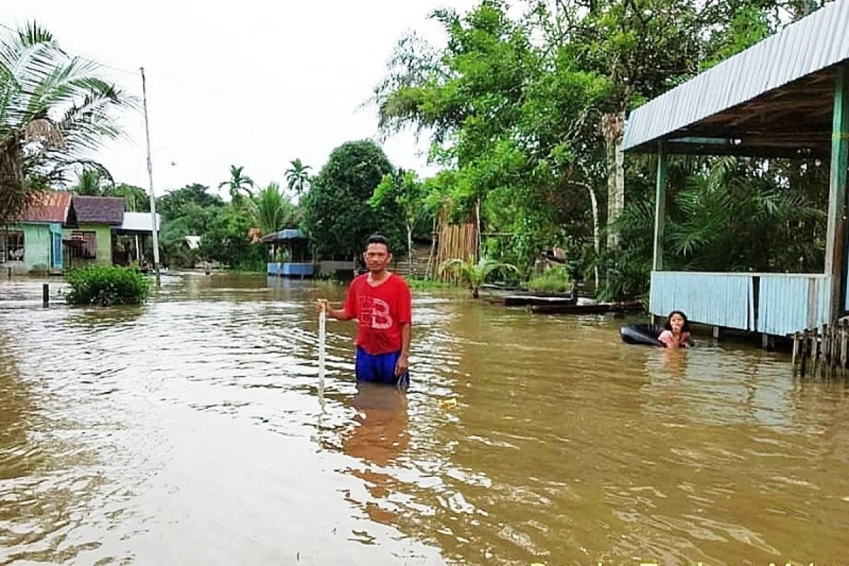 BPBD Kotim imbau korban banjir waspada