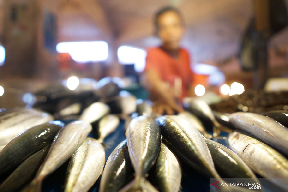 Sesudah Lebaran harga ikan laut segar di Gorontalo naik