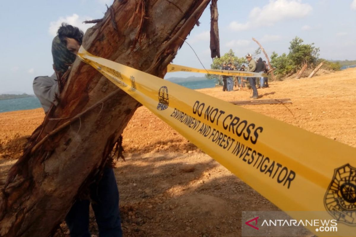 Lahan pascatambang di Tembeling Bintan belum diperbaiki