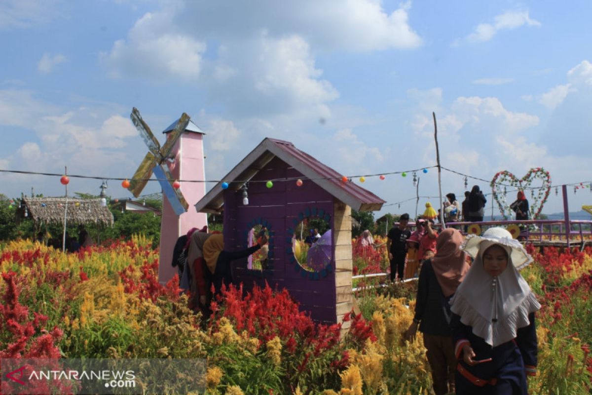 Musi Rawas makin cantik dengan kehadiran taman bunga