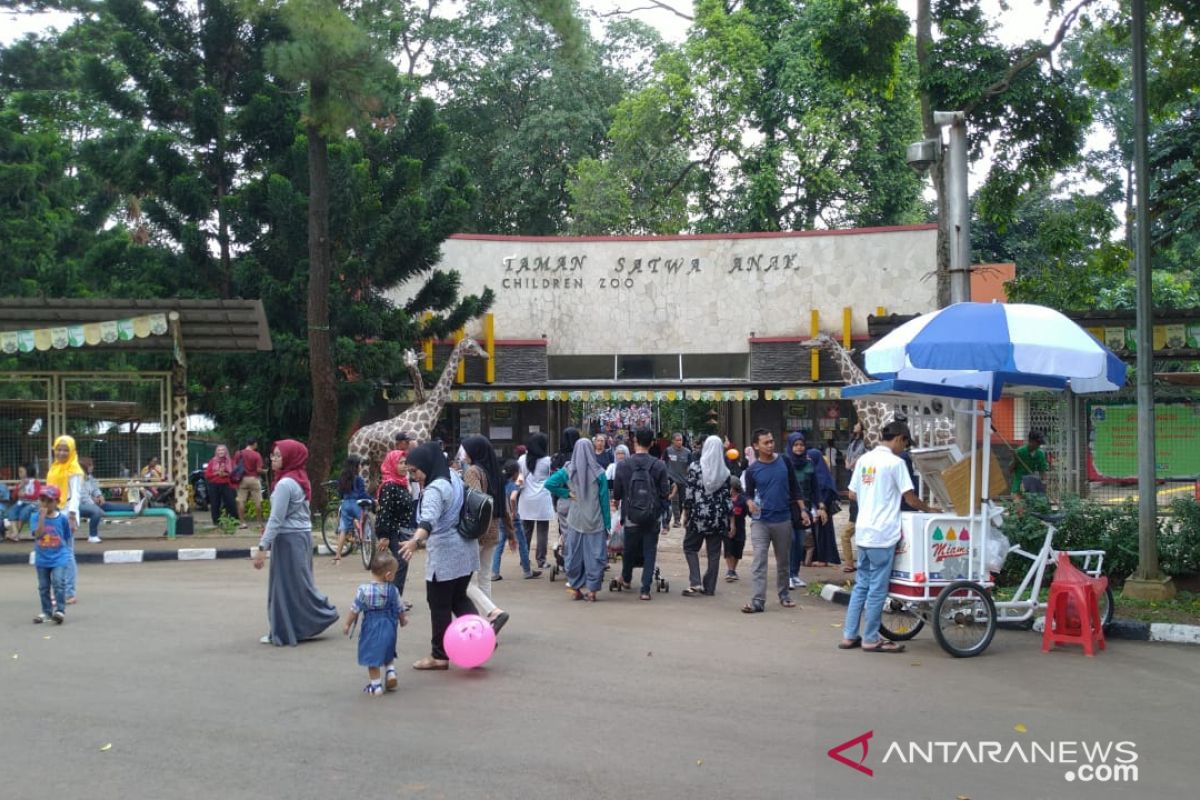 Pengunjung masih padati Taman Margasatwa Ragunan