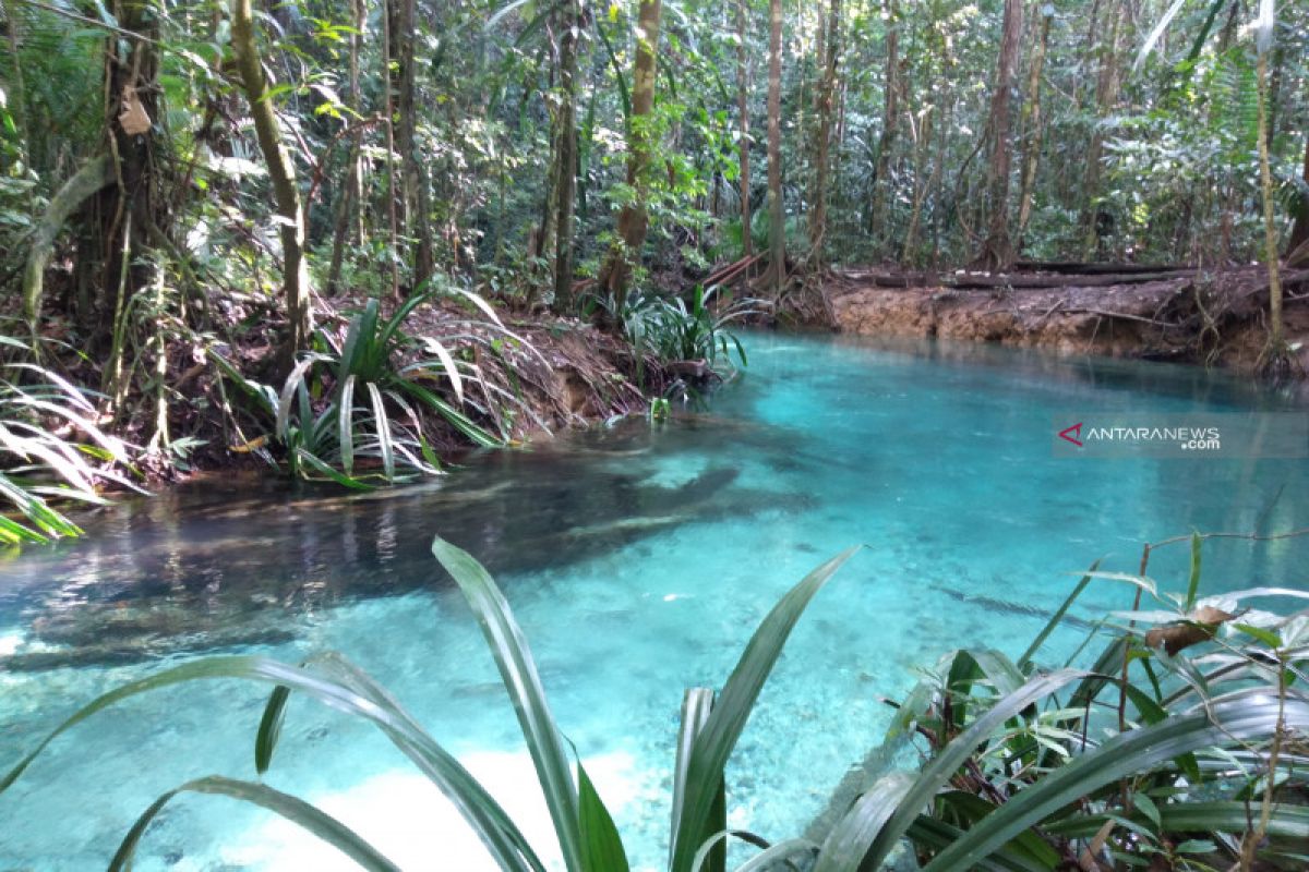 Kali Biru destinasi wisata sungai Raja Ampat yang memesona