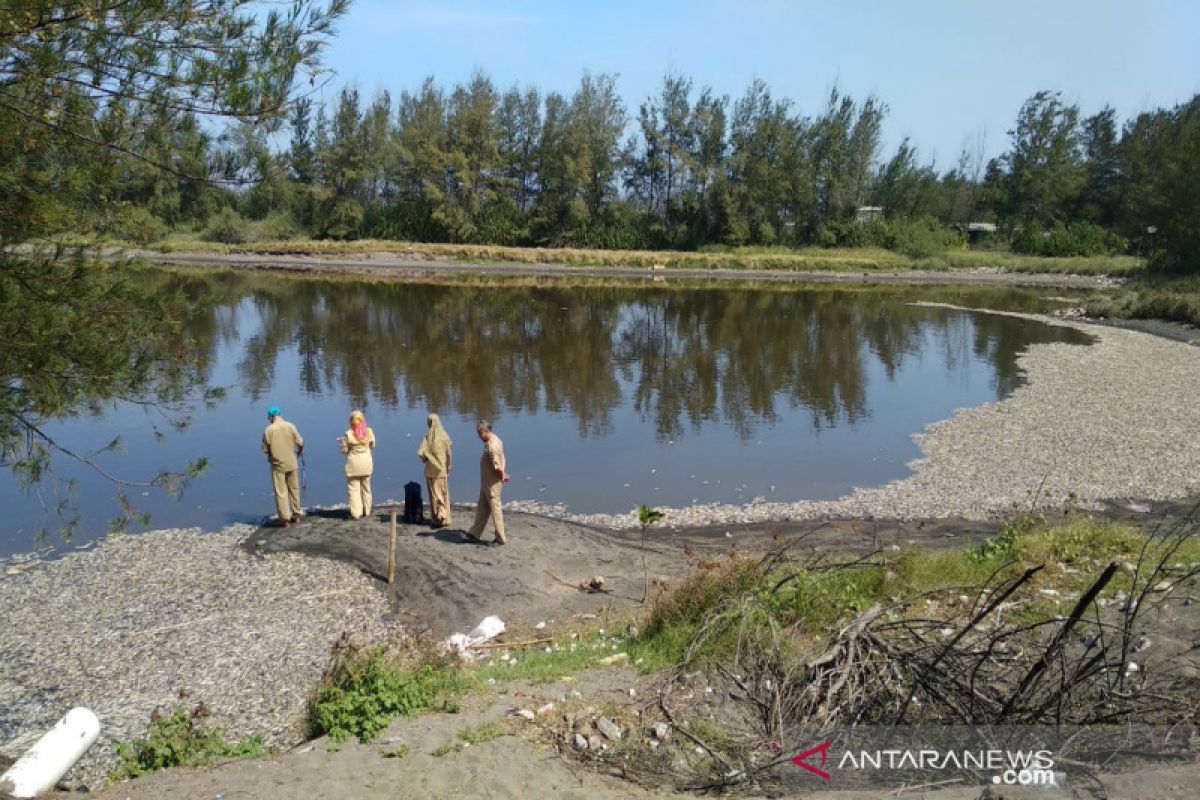 Satu ton ikan Laguna Trisik Kulon Progo mati diduga akibat limbah udang