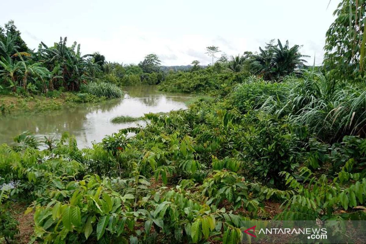 Sumur resapan di Pekanbaru bekurang akibat alih fungsi lahan