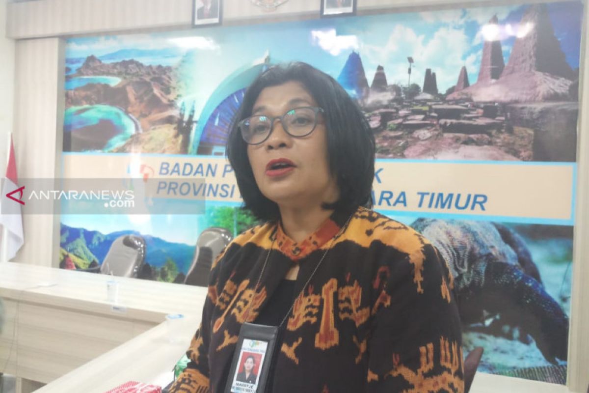 BPS: Harga tiket "gila-gilaan," penumpang pesawat di NTT anjlok