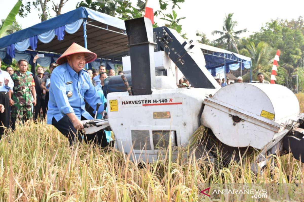 Bupati Bantul: pertanian sektor unggulan dalam pembangunan daerah