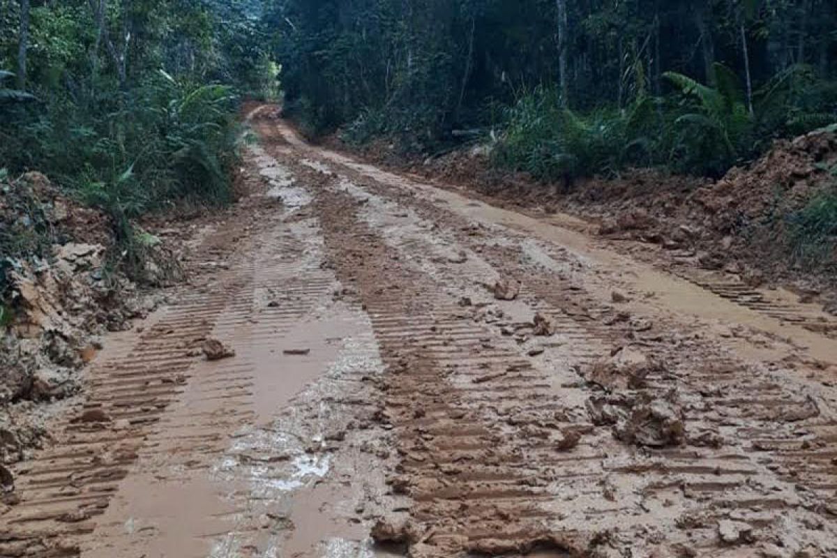 Pemdes Tapen Raya bersihkan jalan 17 Kilometer menuju Batu Raya