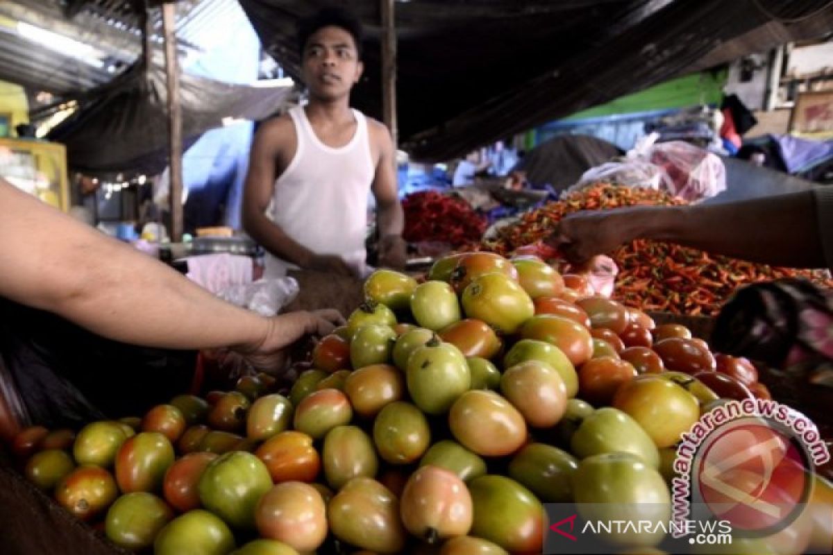 Harga tomat di Kota Manado naik 33,33 persen