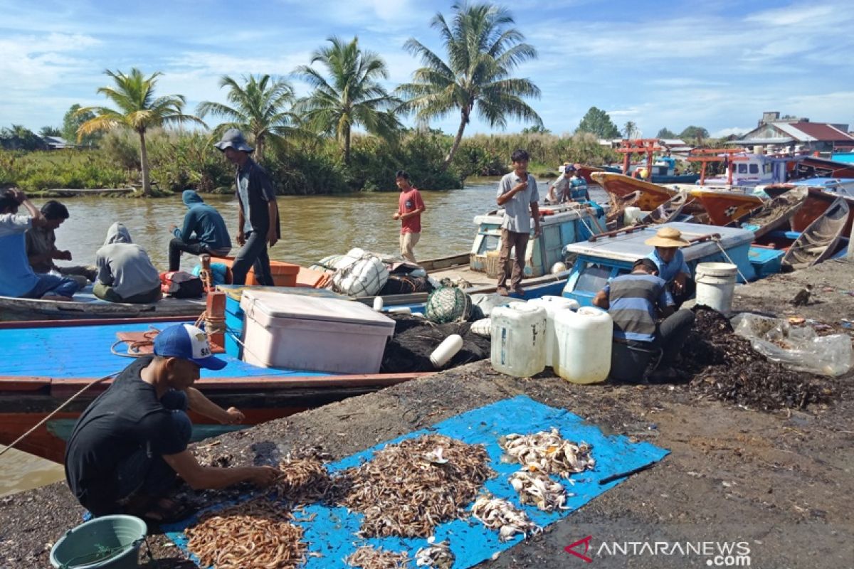 Cuaca buruk sebabkan harga ikan segar melonjak di  Aceh Barat