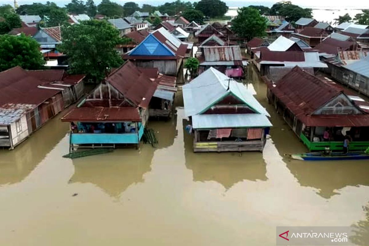 Sebanyak 1.560 warga Kabupaten Wajo terdampak banjir