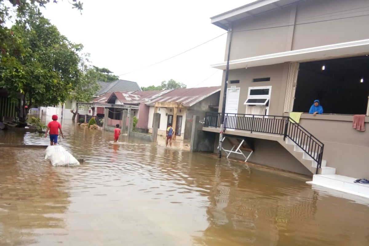 Hujan lebat semalaman, ratusan rumah warga di Pekanbaru kebanjiran