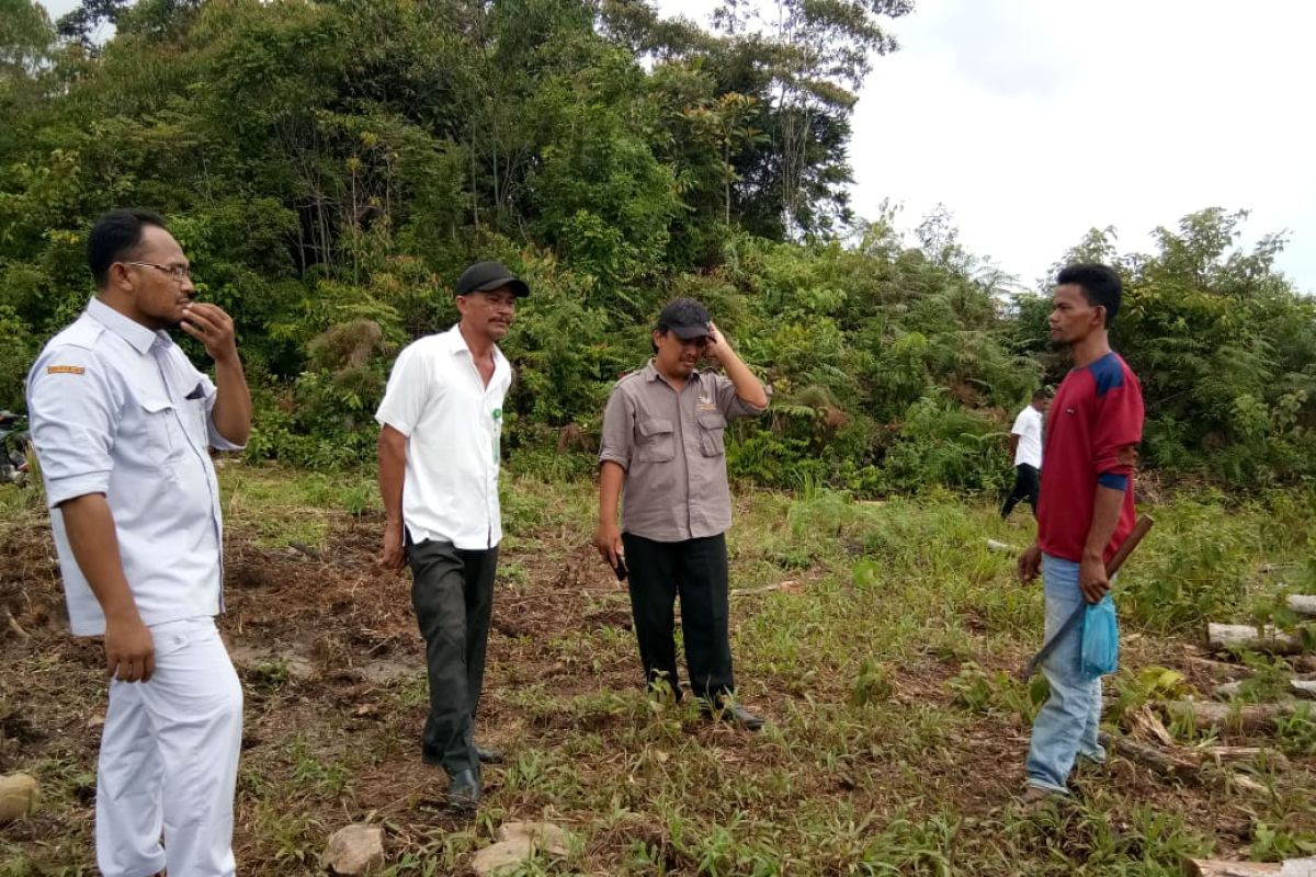 Kawanan gajah merusak belasan hektare kebun sawit di  Aceh Utara