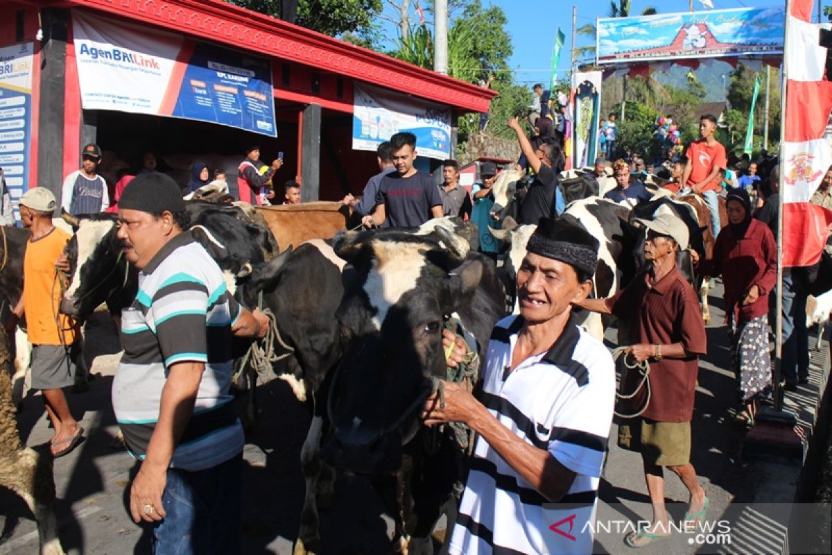 Sapi dan kambing diarak dalam tradisi Syawalan lereng Merapi