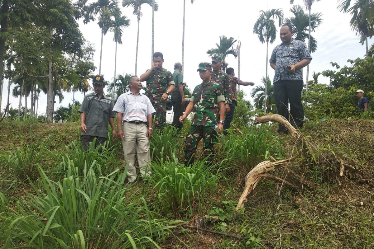 Potensi sereh wangi menjanjikan di  Aceh Utara