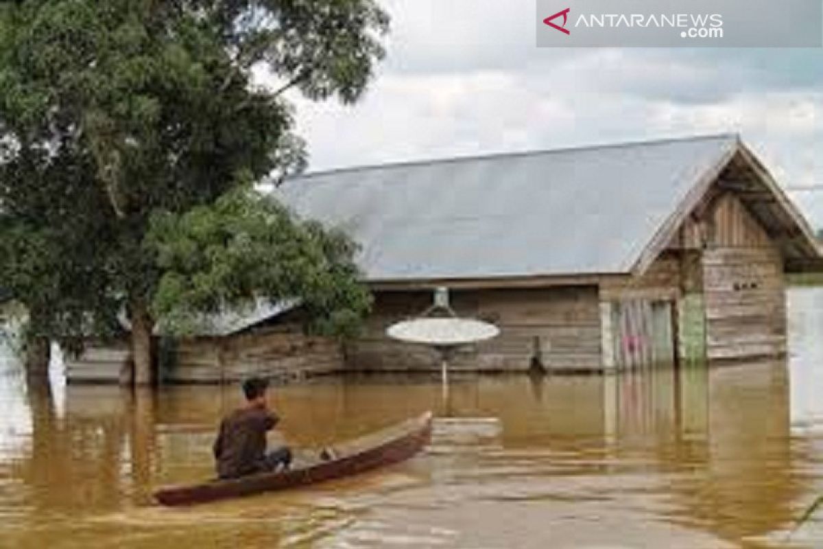 Banjir, Jalan Wonggeduku-Pondidaha Konawe sulit dilewati