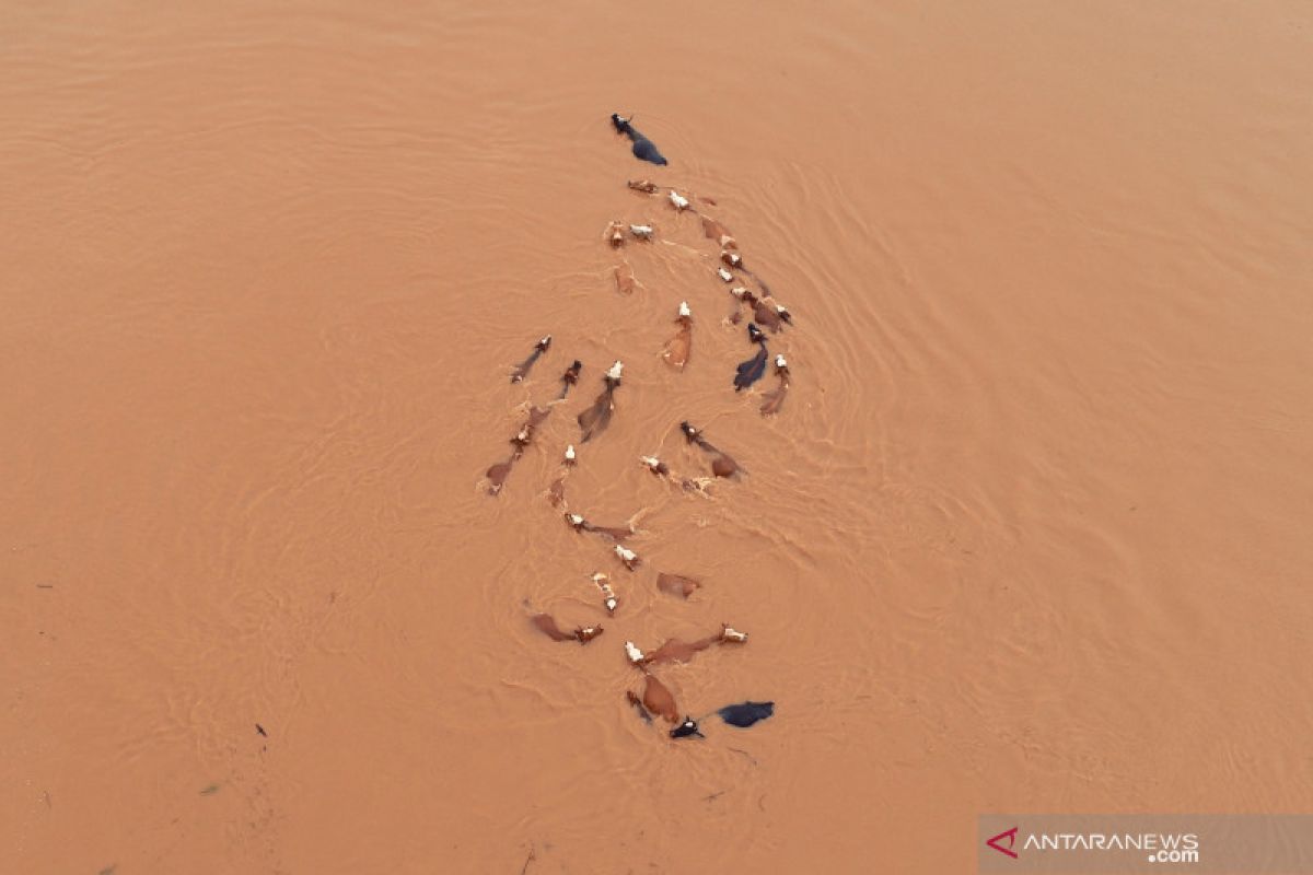 Dua mobil tercebur sungai saat jembatan di  China selatan putus