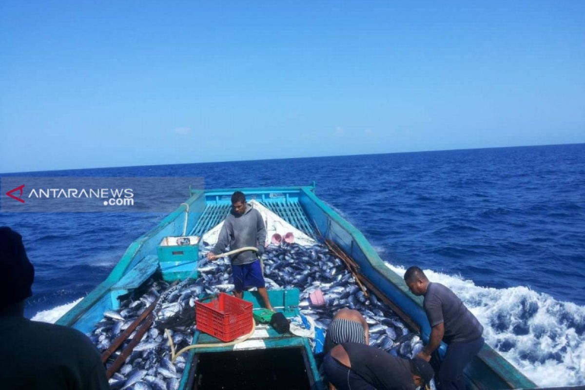 Kapal Pole and Line di Kota Kupang terus menyusut