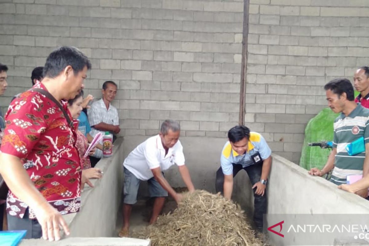 Petani Landak latihan buat pupuk organik