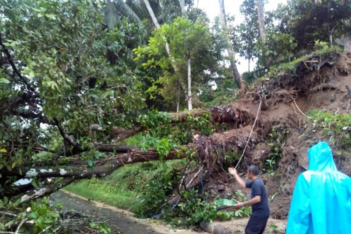 Three sub-districts in Agam were hit by floods and landslides after heavy rain