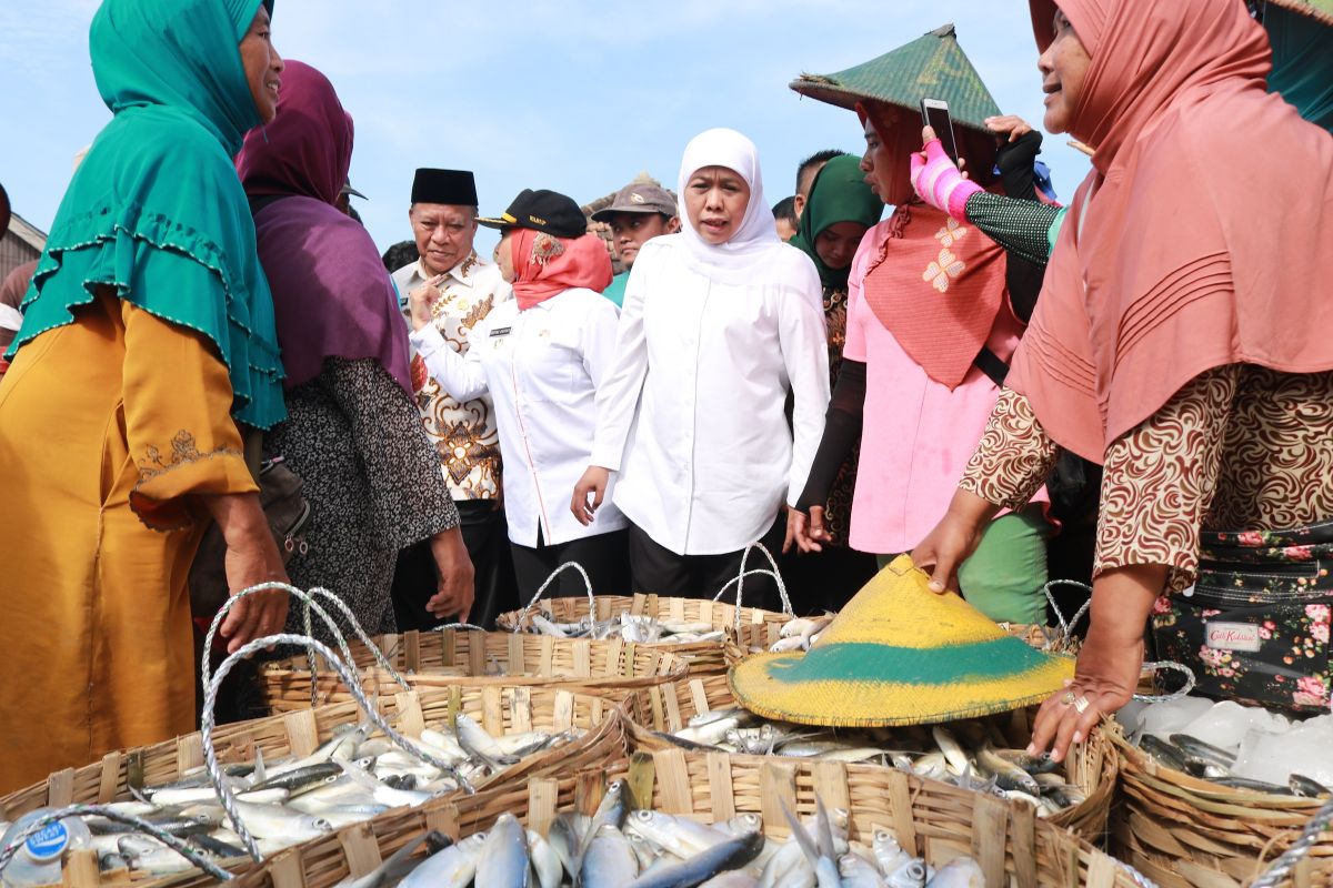 Pemprov Jatim dorong perusahaan serap bandeng petambak Lamongan