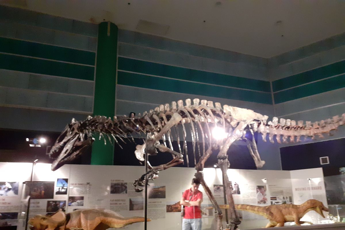 DinoQuest ajak pengunjung kembali ke periode Cretaceous