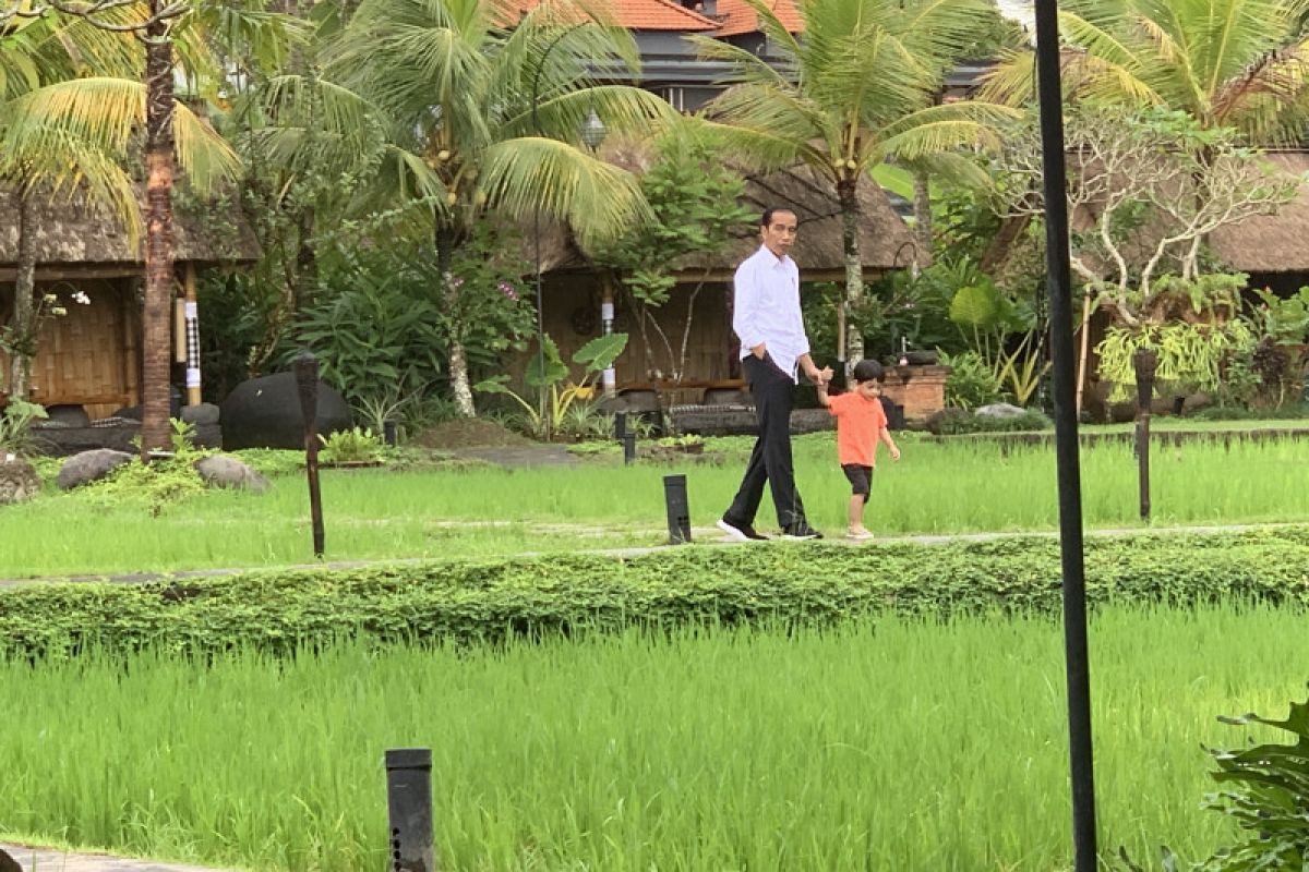 Presiden Jokowi kunjungan kerja sekaligus momong Jan Ethes di Bali