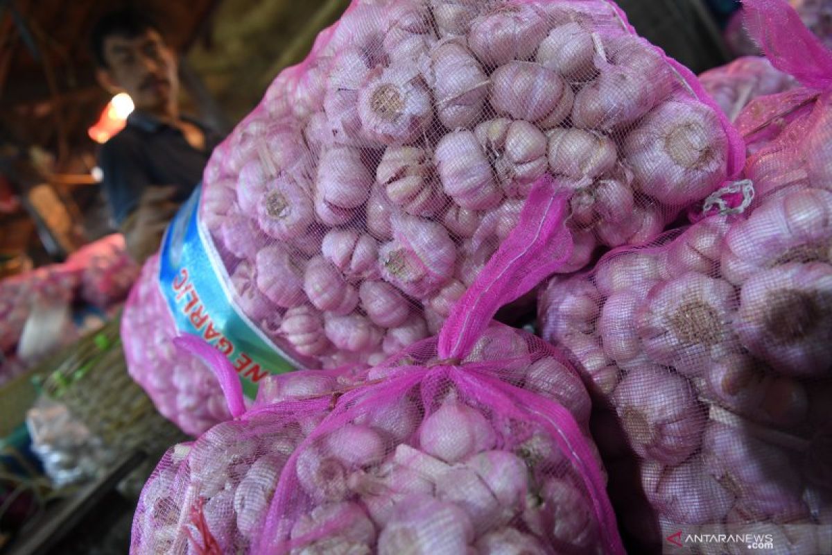 Bawang putih impor atasi kelangkaan di Jatim