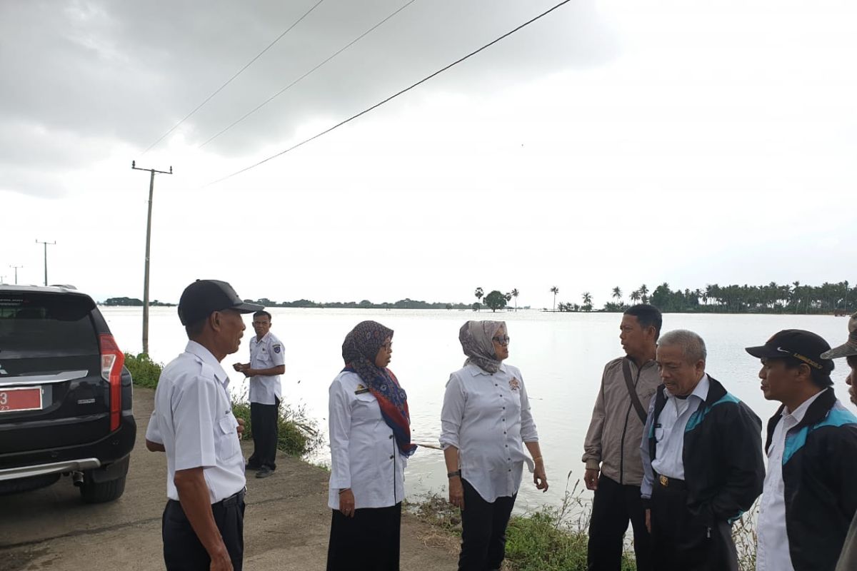 Kementan-Pemprov salurkan bantuan bibit untuk korban banjir