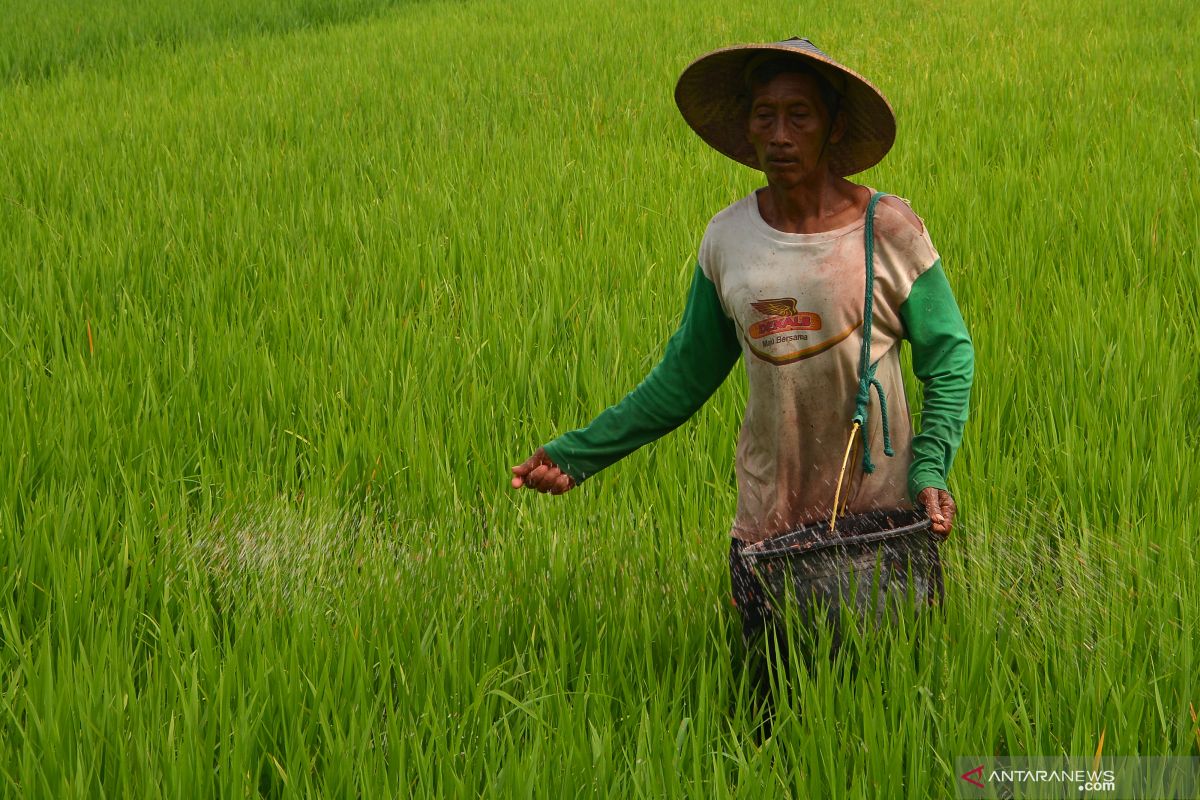 Jelang musim tanam, diserukan penyaluran pupuk harus tepat sasaran