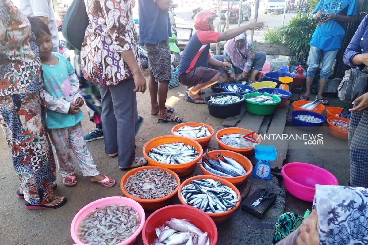 Harga ikan laut di Sibolga melonjak