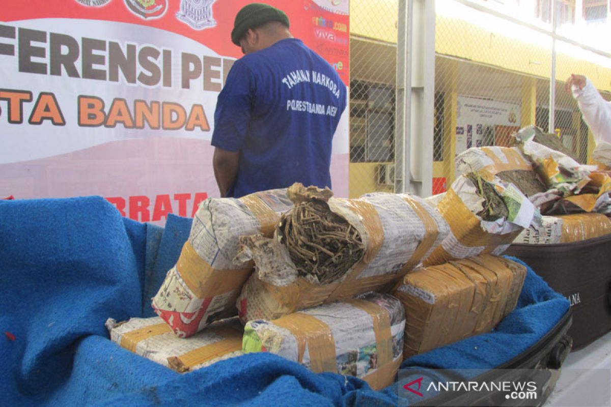 Polresta Banda Aceh buru pemilik puluhan kilogram  ganja