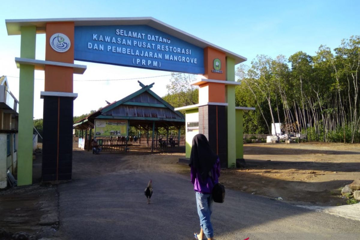 Meniti jalan jadikan Hutan Bakau Tongke-Tongke magnet wisata Sinjai