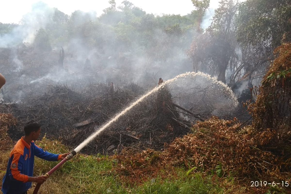 Lahan gambut  di salah satu desa Aceh Selatan terbakar