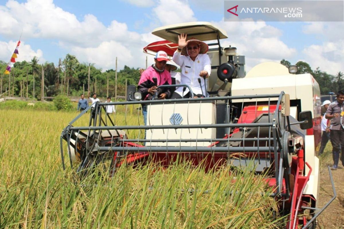 Lapsus : Agrobisnis jalan Kotabaru Menuju Swasembada Pangan