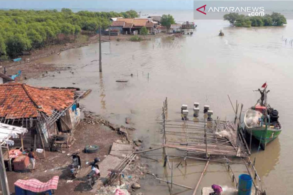 Abrasi rusak puluhan rumah warga