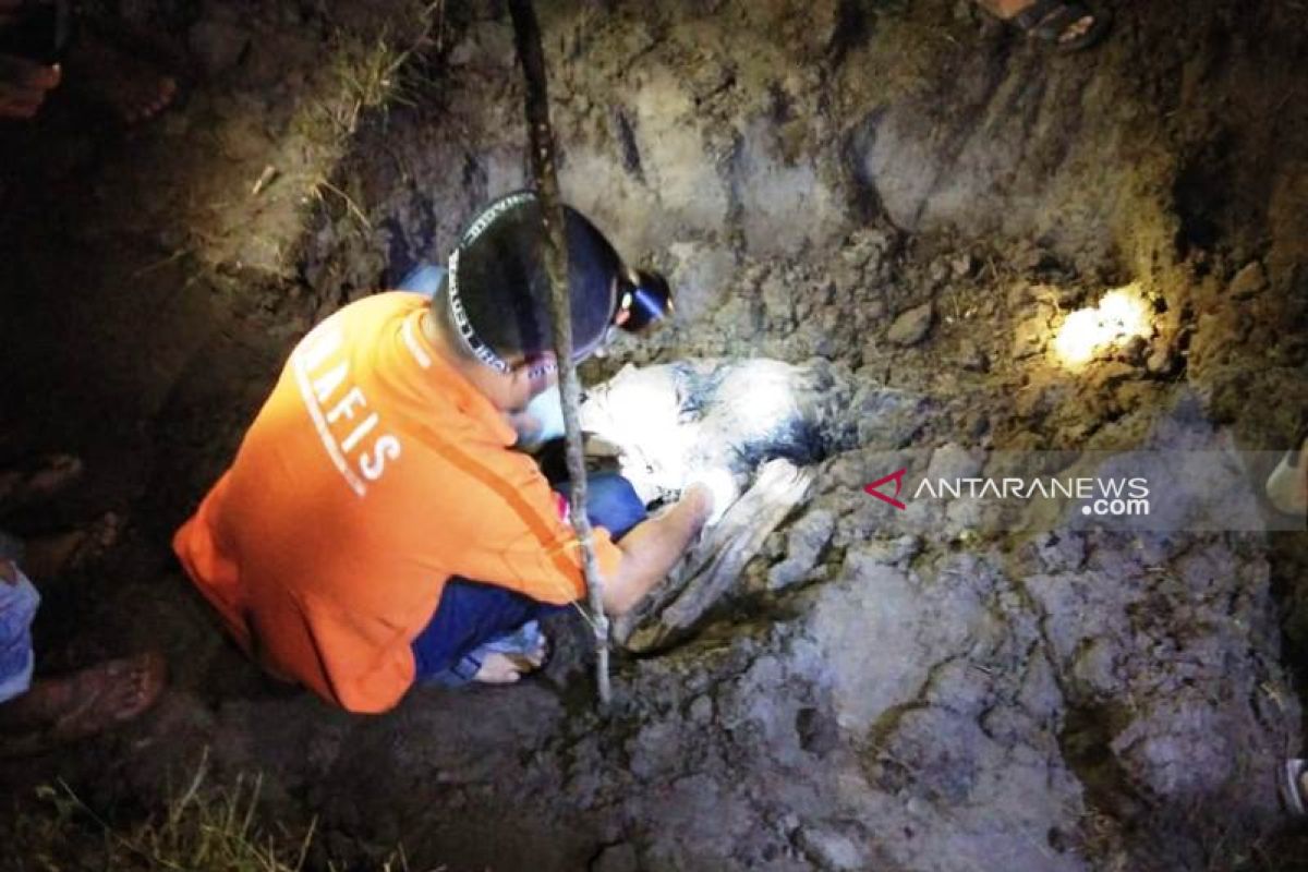 Penemuan kerangka manusia di kompleks gudang Bulog Aceh Selatan, identitas belum jelas