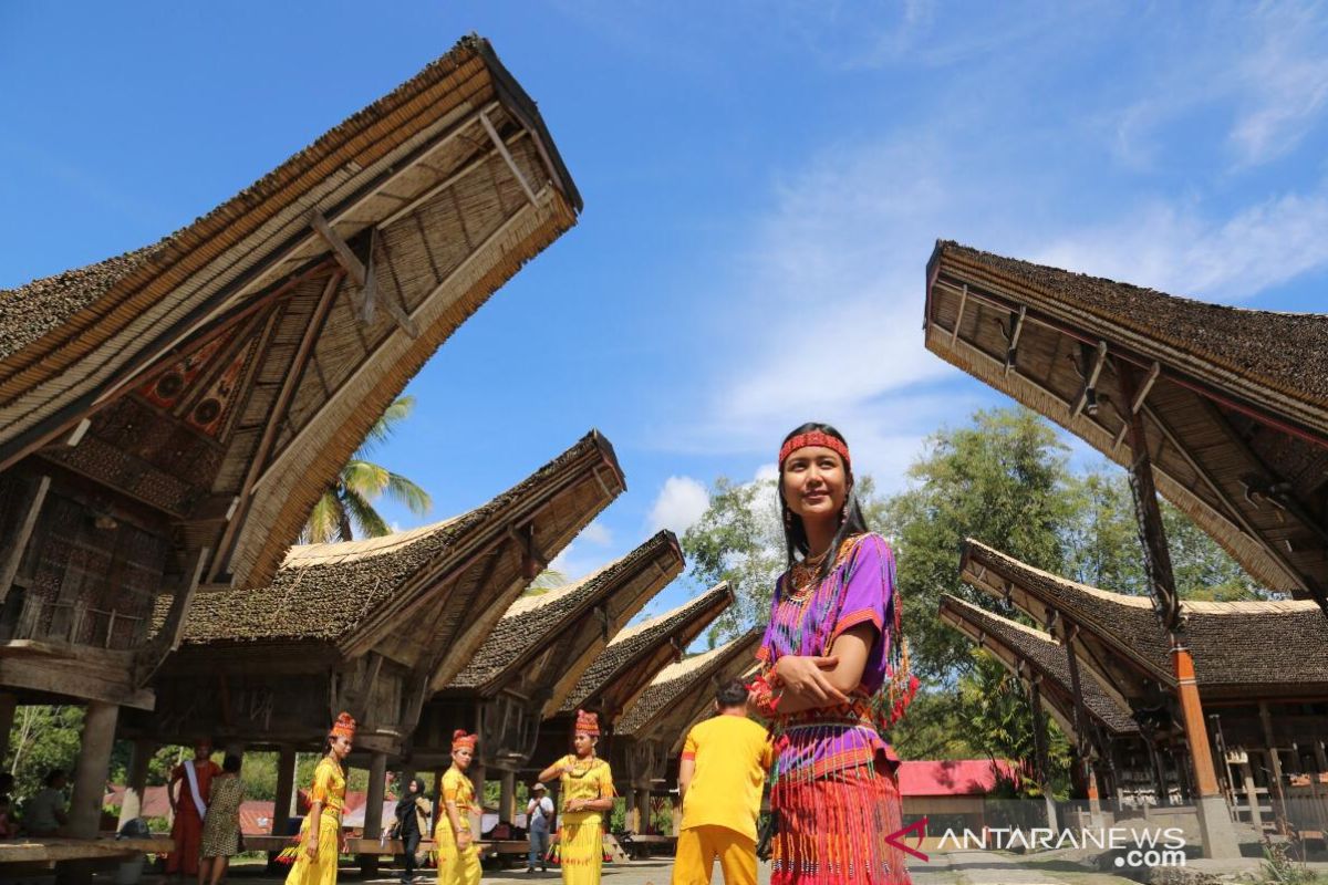 Tana Tana Toraja jadi konsep pengembangan desa wisata dan homestay